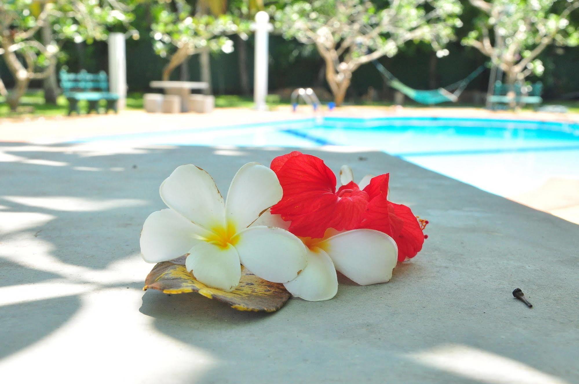 Ypsylon Tourist Resort Beruwala Esterno foto